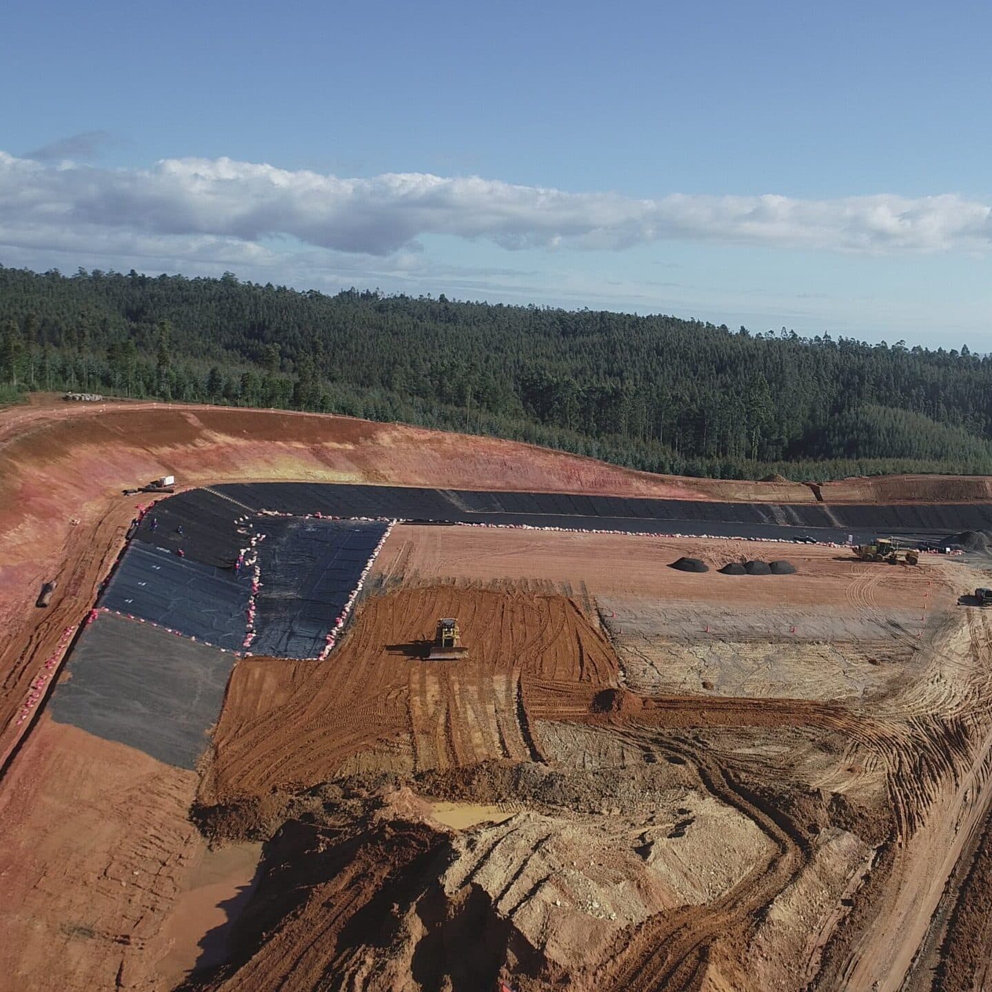 DRIS Planta Nueva Aldea